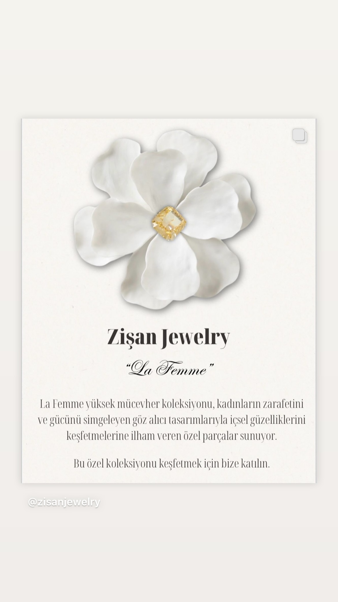 Zişan gallery 6